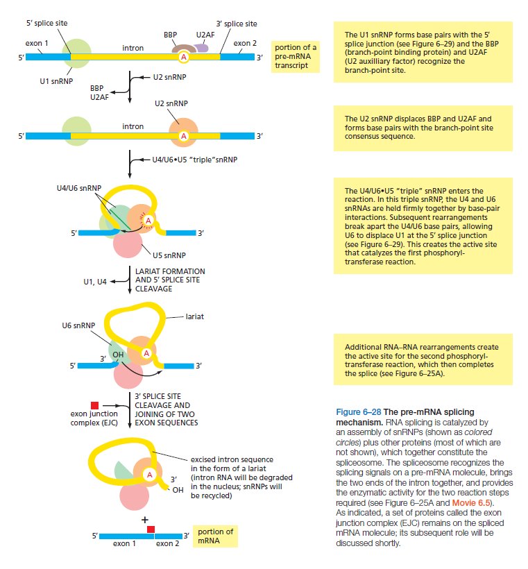 Figure 6-28.png